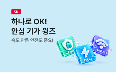 안심 기가 윙즈